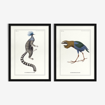 Lithography engraving chimeras vintage - Lot 2 x A5