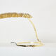 Rhubarb lamp in brass by Tommaso Barbi 1970