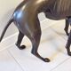 Monumental Bronze Statue of an Italian Greyhound / Whippet – Large Antique Sculpture Representing a Dog