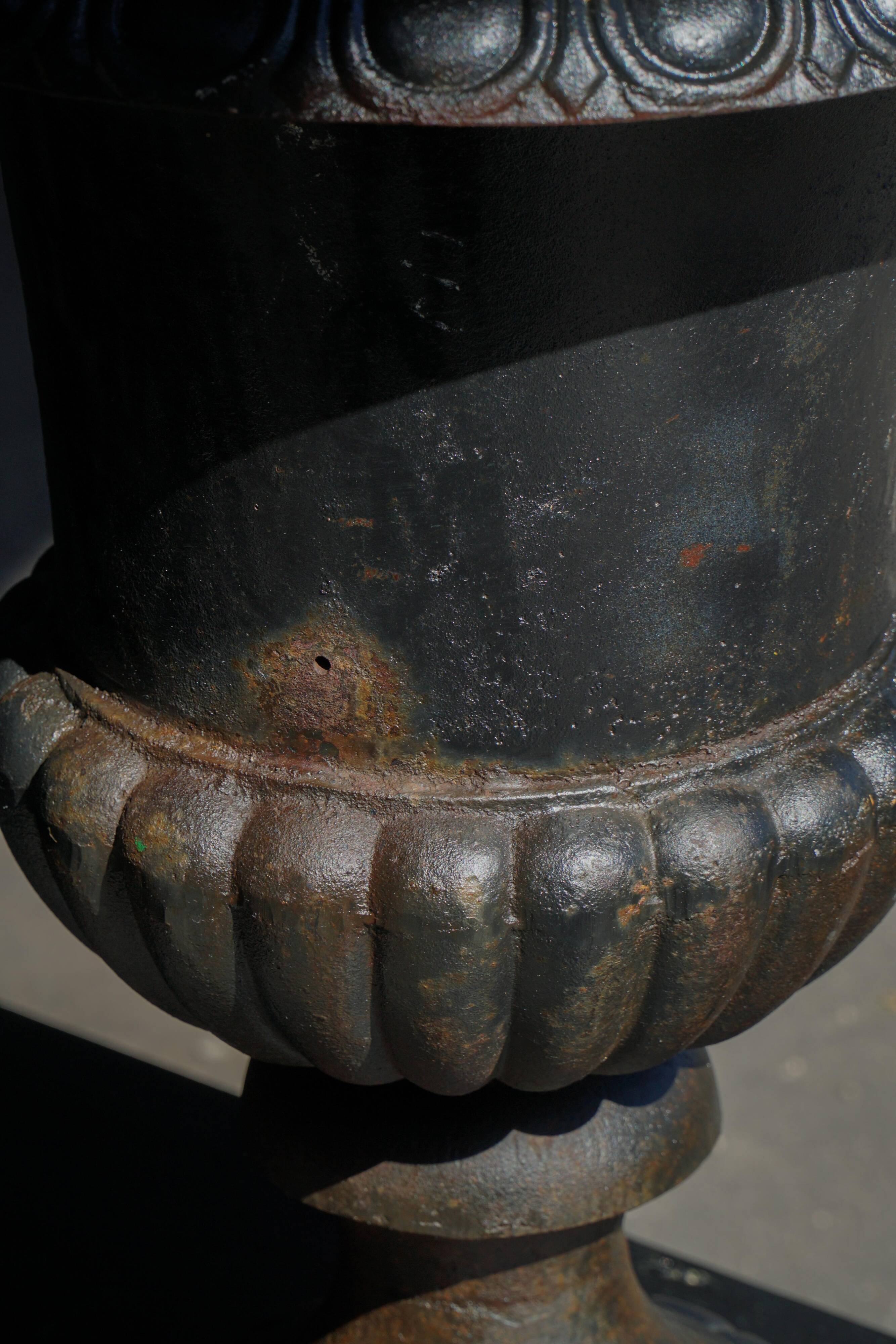 Garden urn / Decorative cast iron planter, French neoclassical design, 1950s