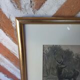 Antique engraving framed two deer in the forest