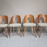 Chaises conçues par Antonín Šuman pour Tatra Nabytok, Tchécoslovaquie des années 1960.