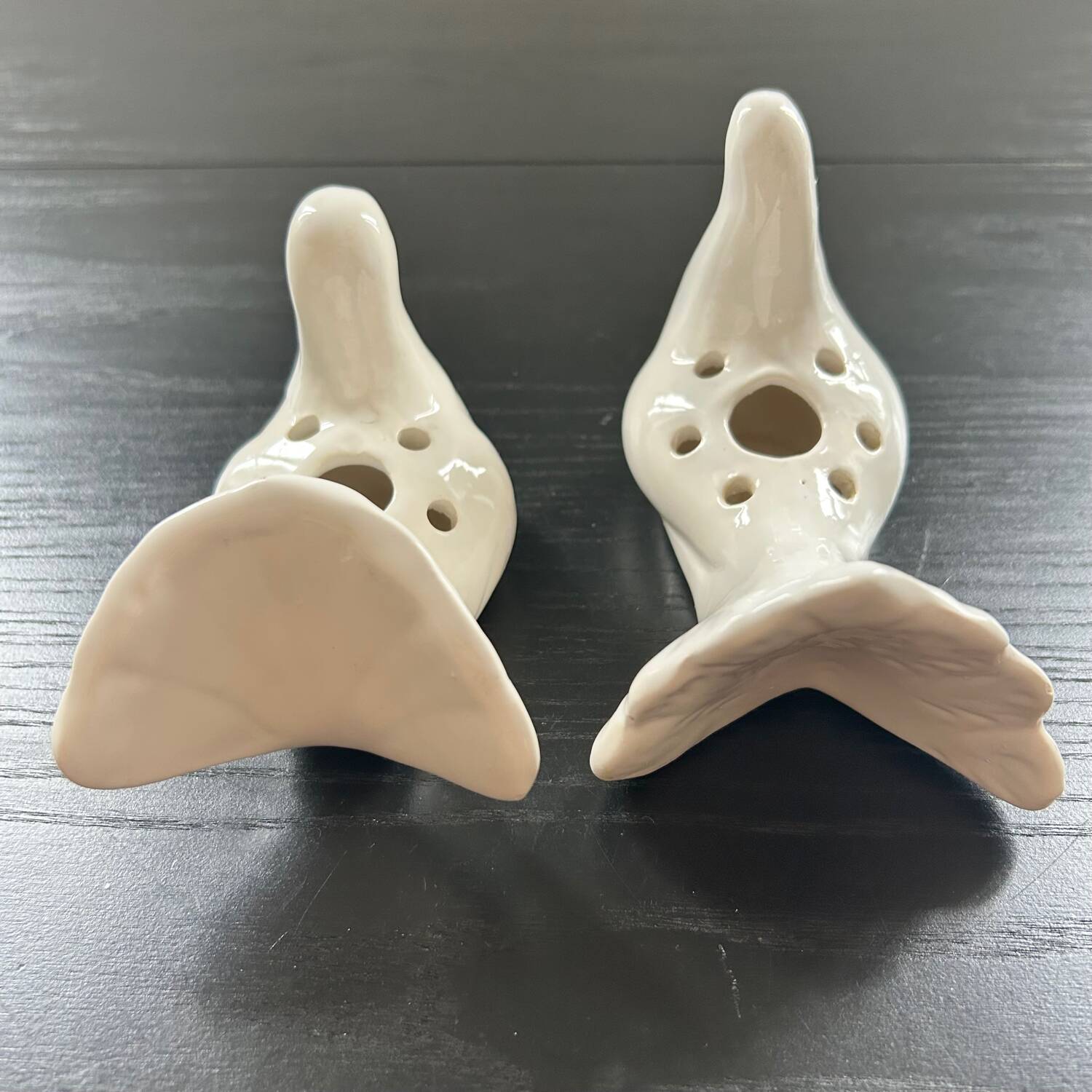 Duo of doves pecking flowers