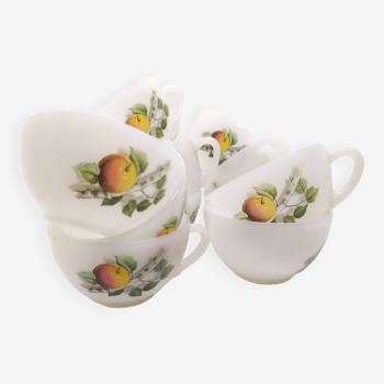 Arcopal cups with apples and pears
