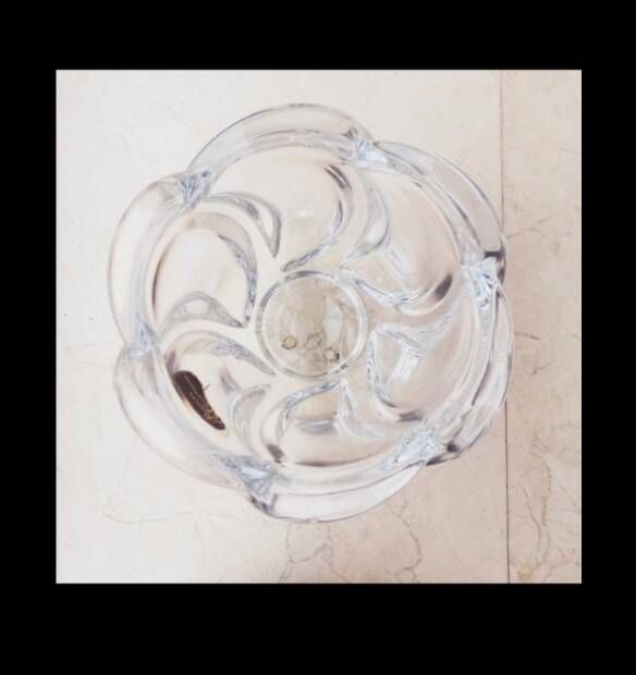 Royales de Champagne crystal bowl
