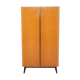 Penderie placard moderniste