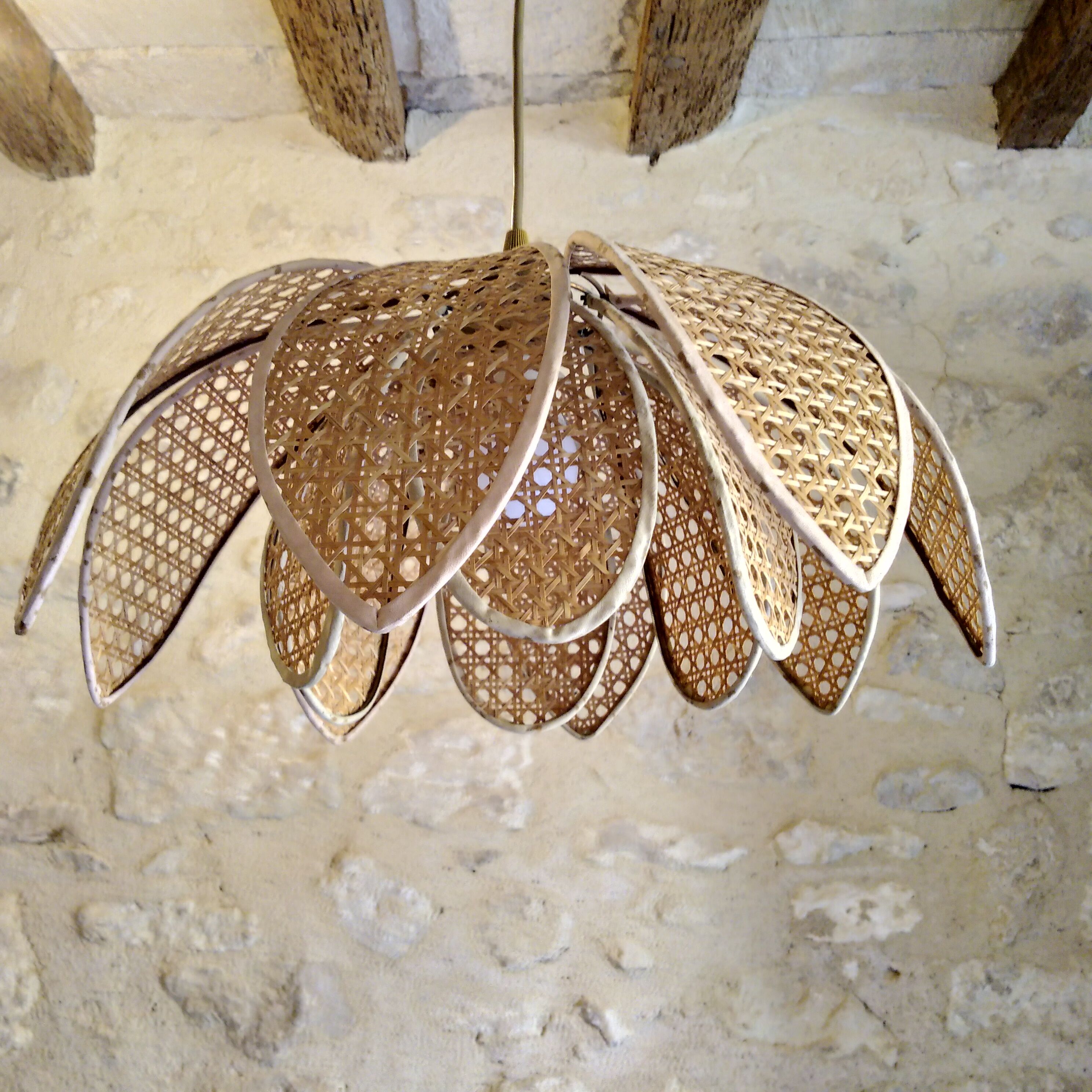 Lotus suspension in vintage cannage