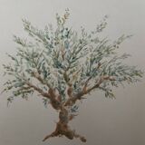 Painting signed watercolor Provençal landscape “the olive tree”