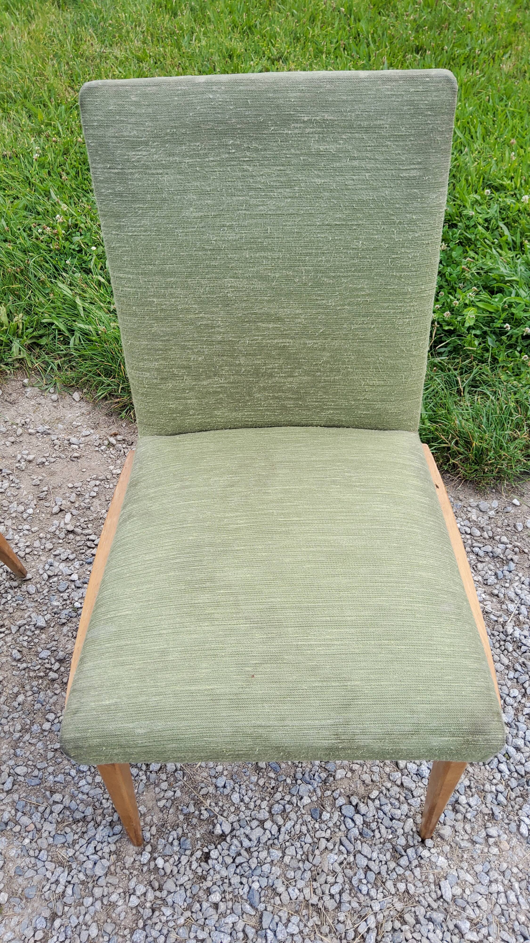 Pair of chairs from the 50s in sycamore tinted beech