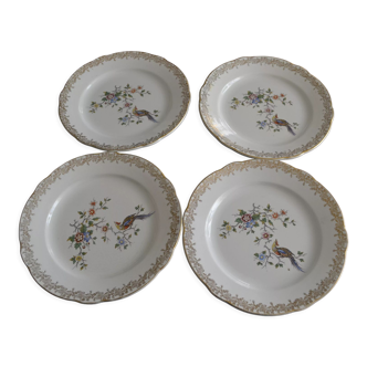 Lot de 4 assiettes paon