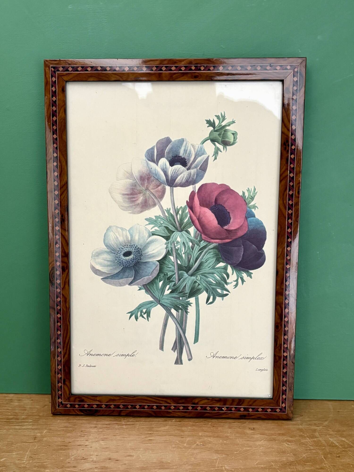 Vintage frame drawing of anemones by Redouté.