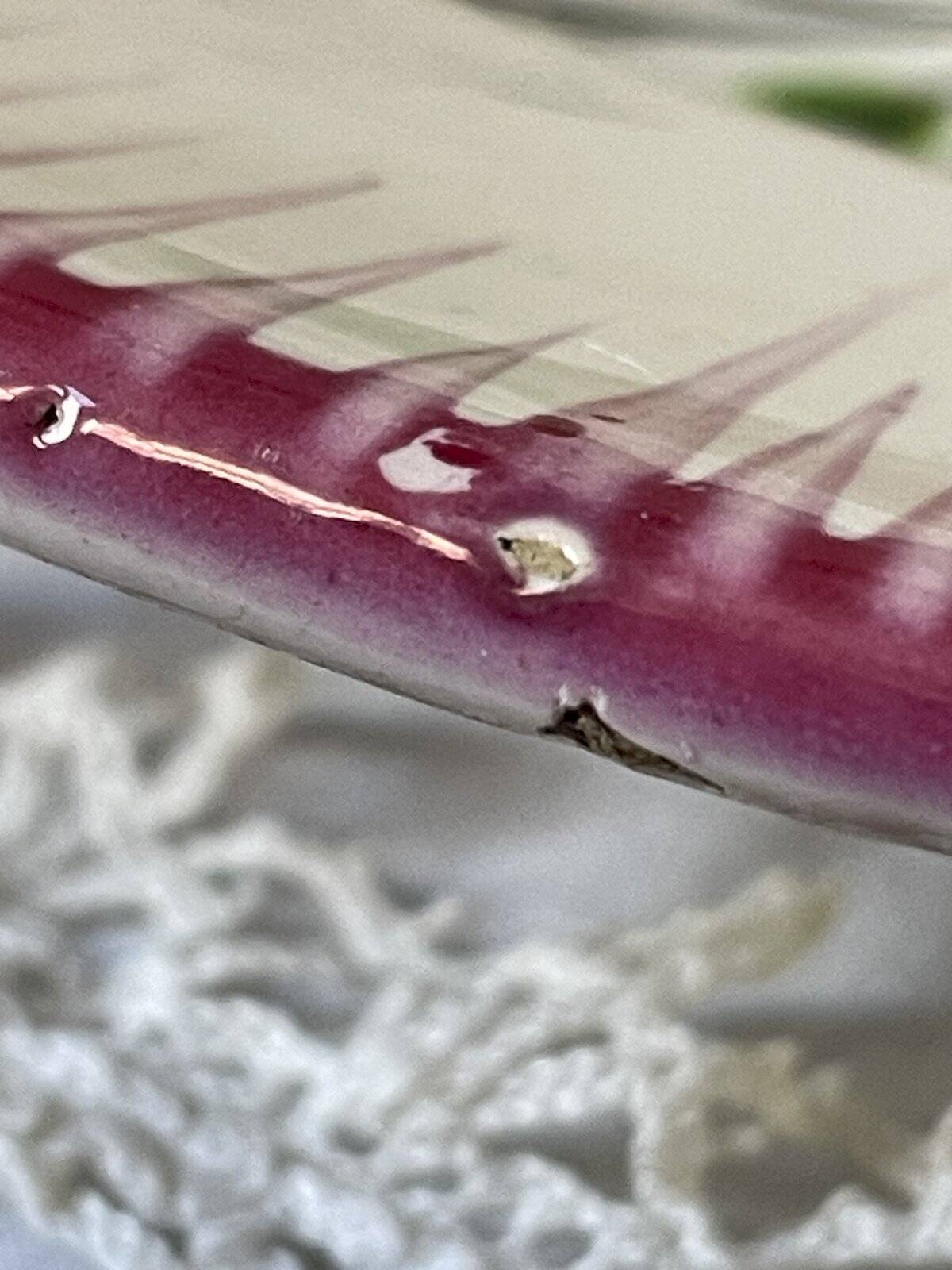 2 antique decorative plates Les Islettes