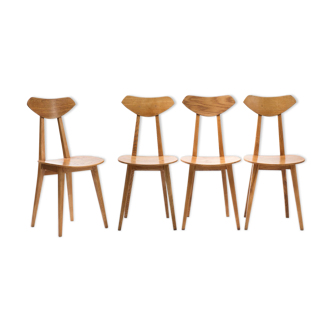 Set of 4 ash chairs by Wanda Genga from 50s
