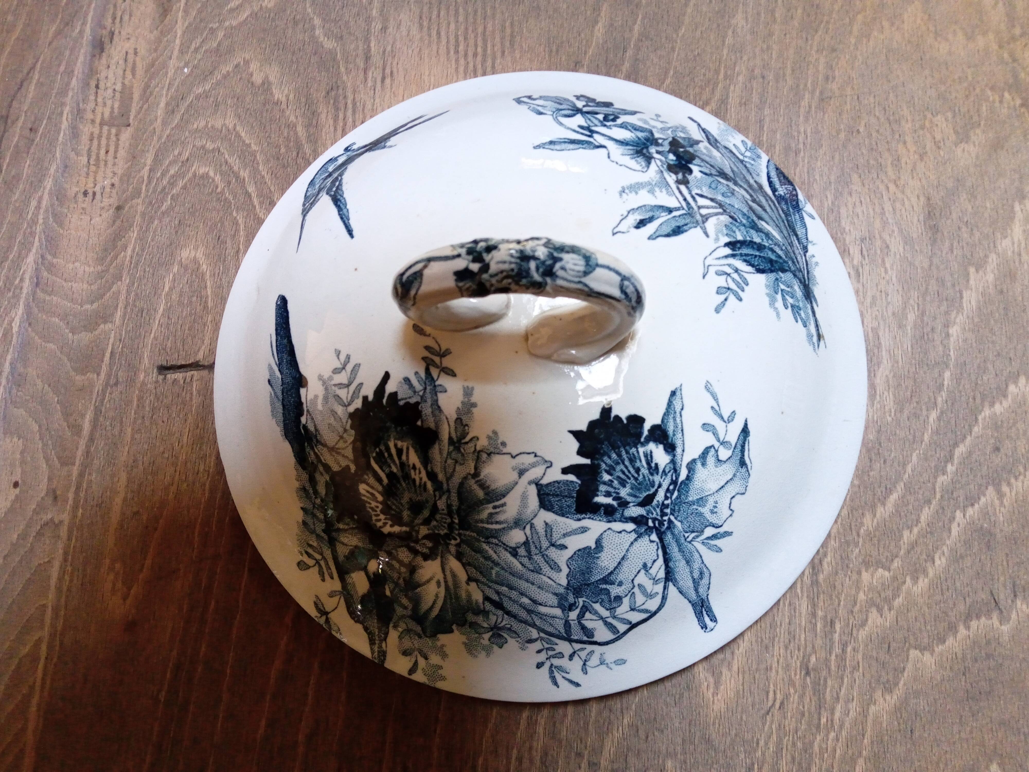 Tureen Iron Earth Orchids