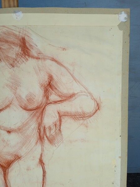 Drawing sanguine study nude female 67/50cm 1950