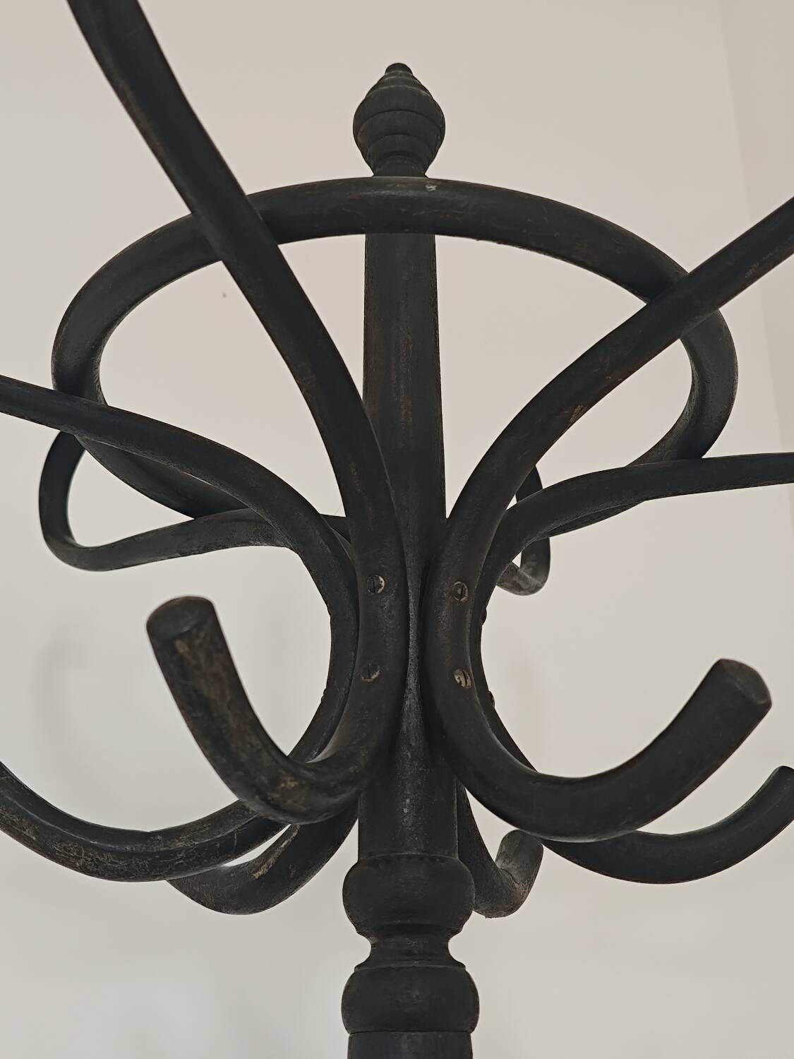 Porte manteau perroquet noir Baumann 1950