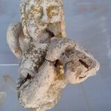 Gargoyle in cement mermaid bugle cathedral ep 1950