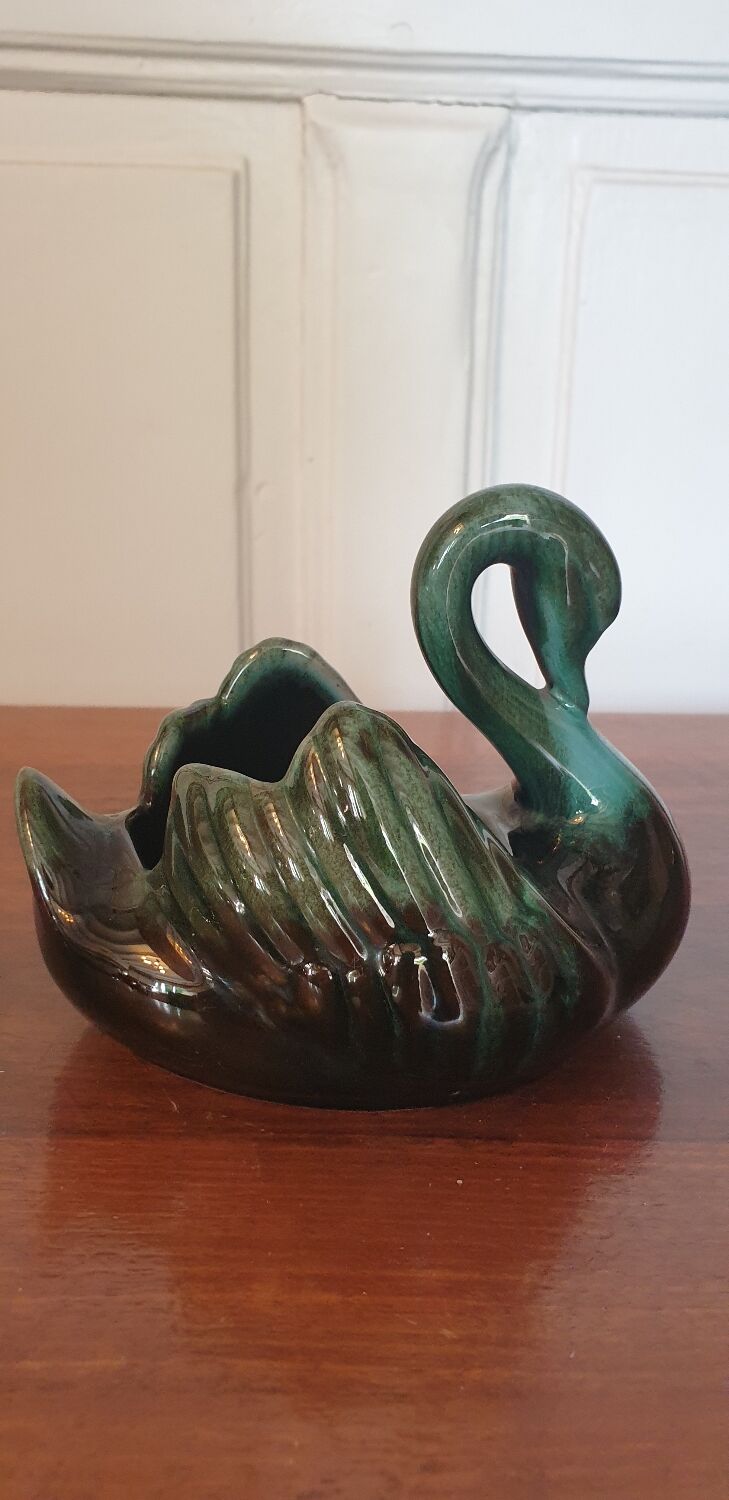 Empty pocket swan canada