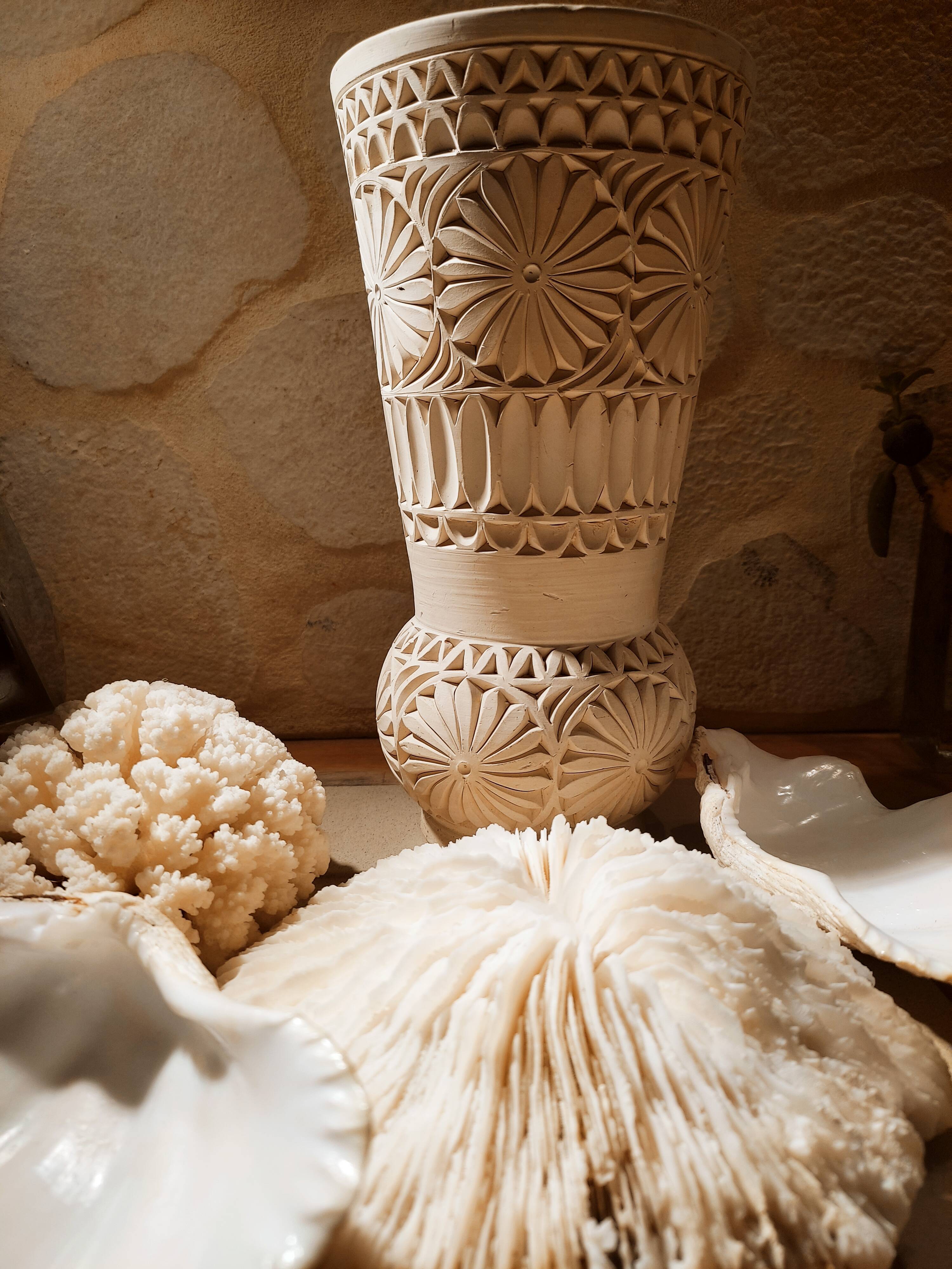 Corals and shellfish