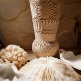 Corals and shellfish