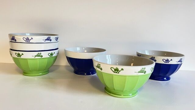 Set of 6 vintage Saturnia Italian porcelain bowls