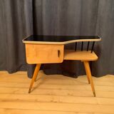Modernist cupboard, 1960s