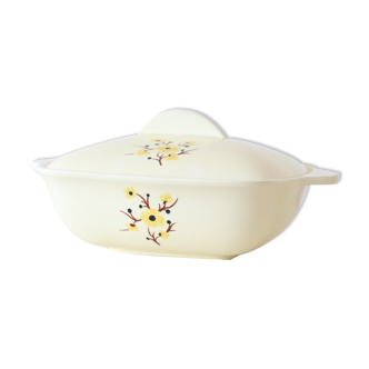 Soup tureen, Salins, soft colors, vintage French, France