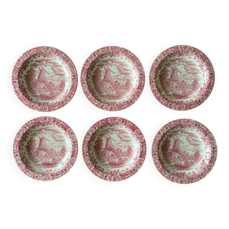 6 grandes assiettes creuses anciennes en faïence de Royal Tudor