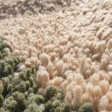 Tapis olive marocaine en laine 150cmx250cm