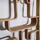 Room Dividers by Ludvik Volak for Drevopodnik Holesov, 1950s, Set of 2