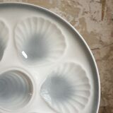 Suite of 12 oyster plates