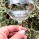 Set of 5 champagne cups in engraved crystal from the 1950s elegant
