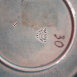 Plate Parrot J.vieillard (A De Caranza)