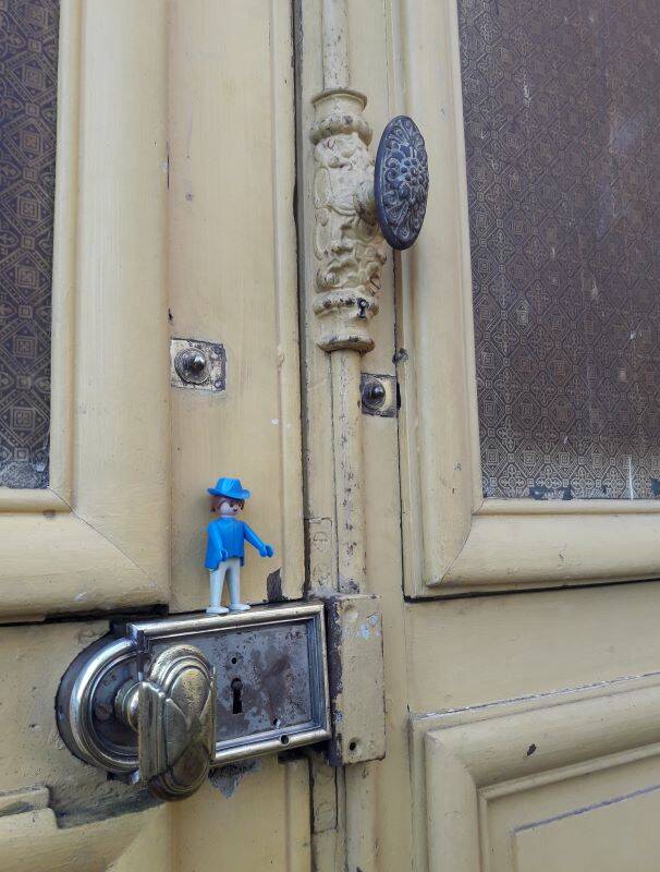 19th century double arched entrance door in oak with grilles and old glass