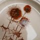 Set of 6 dessert plates in Sarreguemines sandstone, thistle pattern