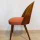 Vintage Dining Chair by Antonín Šuman, Czechoslovakia 1960's
