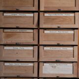 Notary's furniture with clamshells