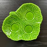 Empty green leaf pocket