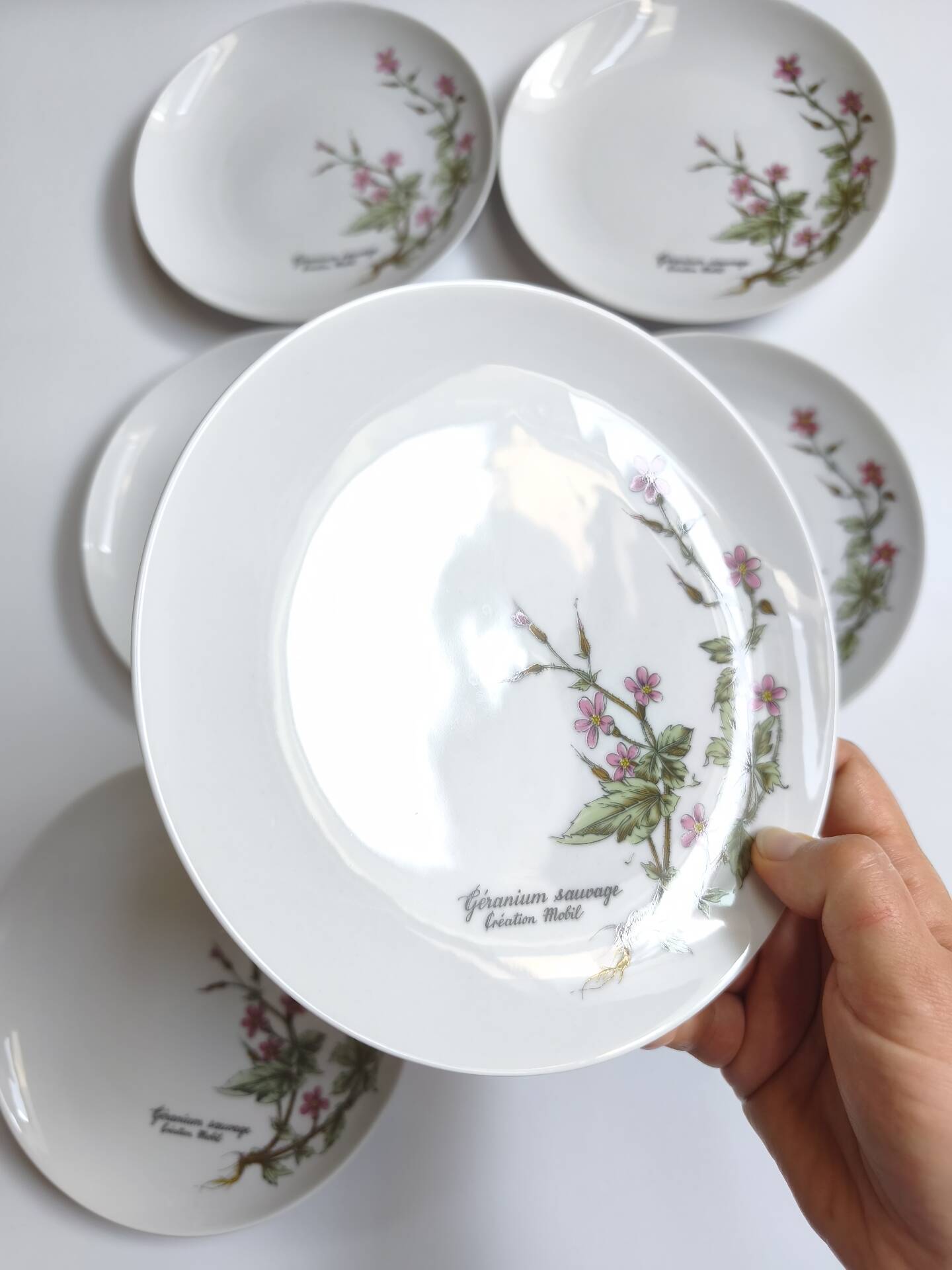 Lot de 6 assiettes à dessert de Bavière mobil décor fleurs roses