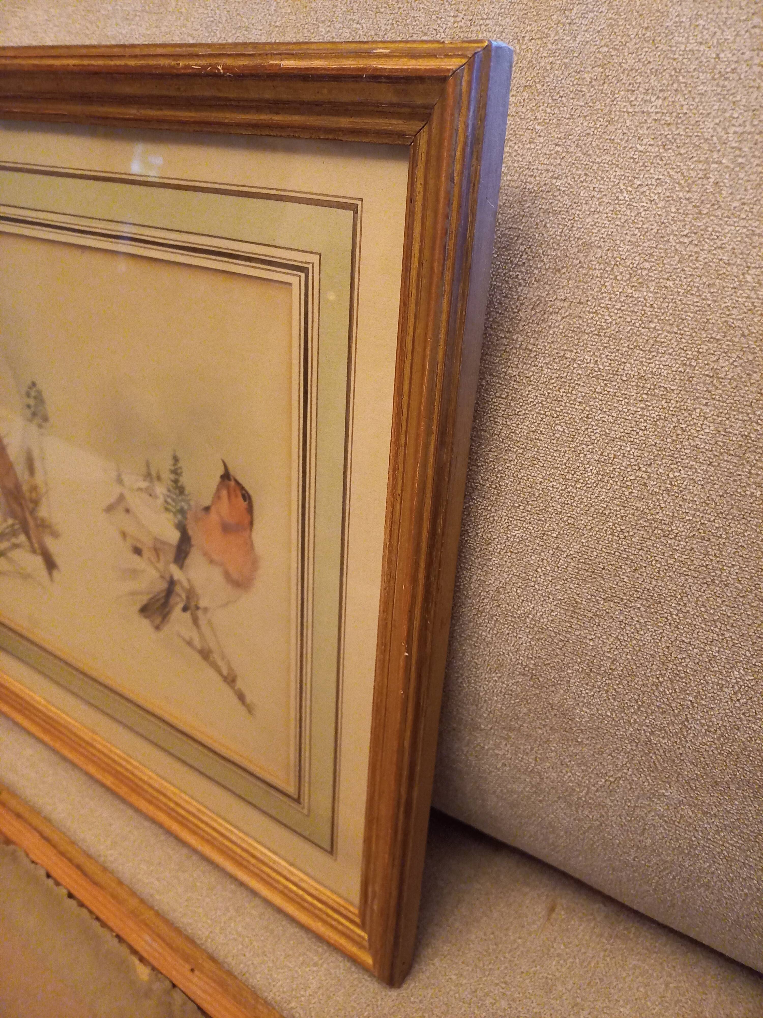 Lot 2 watercolors ancient birds