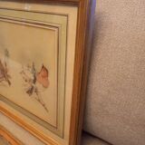 Lot 2 aquarelles oiseaux anciennes