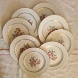 Amandinoise flowered dinner plates