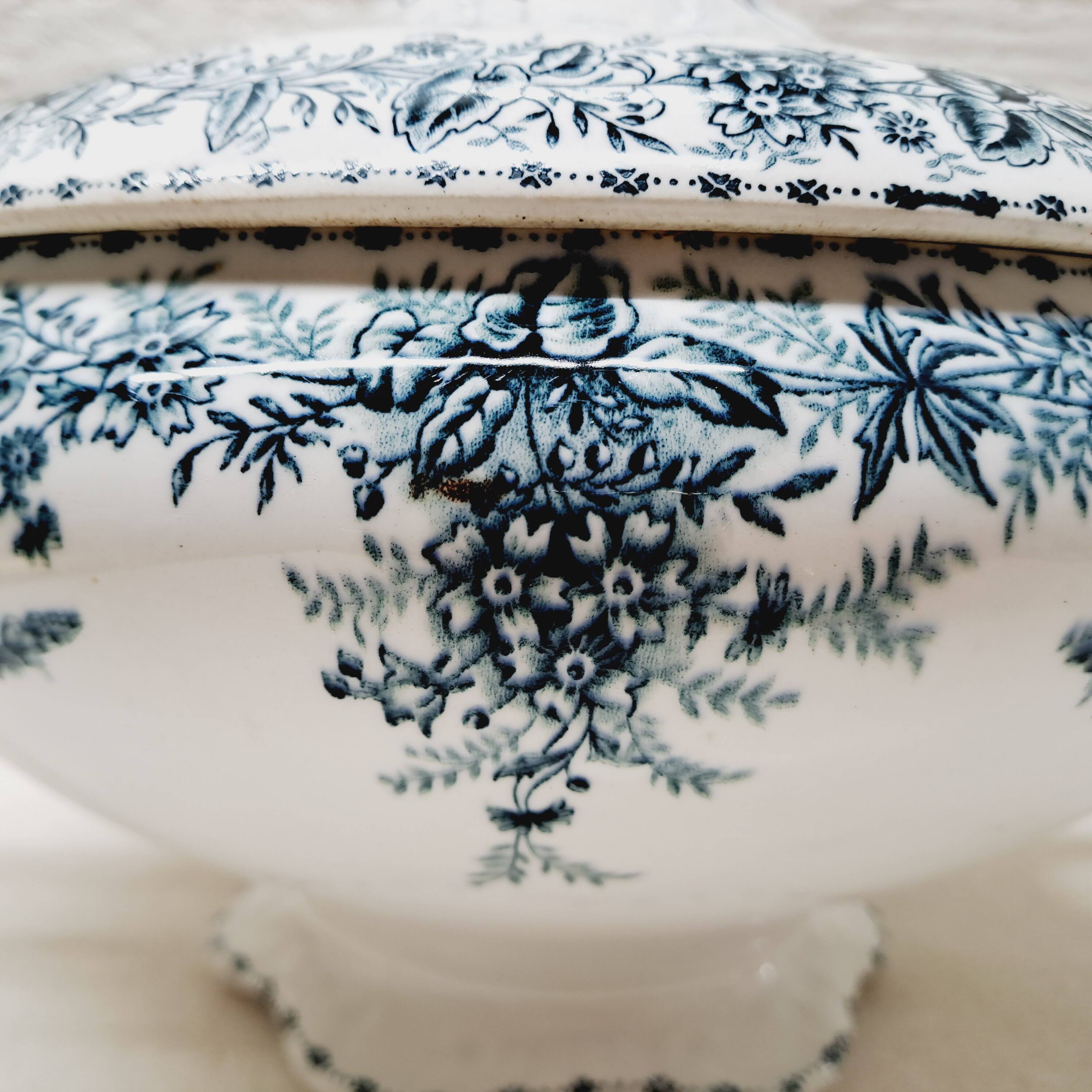 Vegetable Terre de Fer Onaing