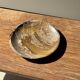 Ashtray, circular dish or plate in grey-orange petrified wood D25.5