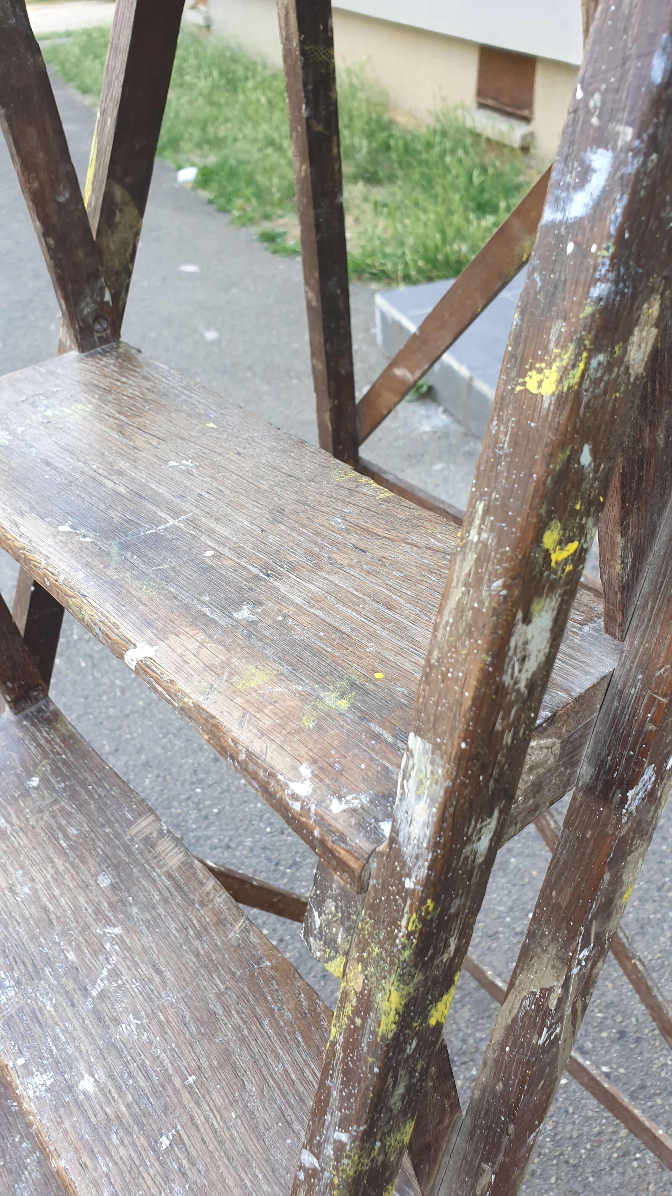 Painter's stepladder in solid beech