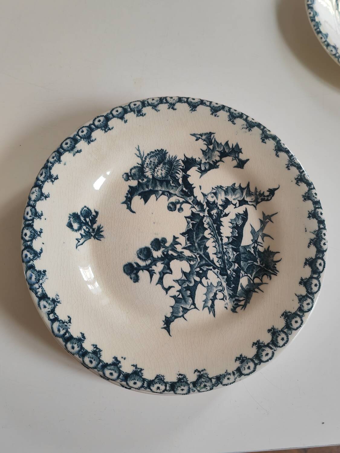 6 Gien plates from the 19th century