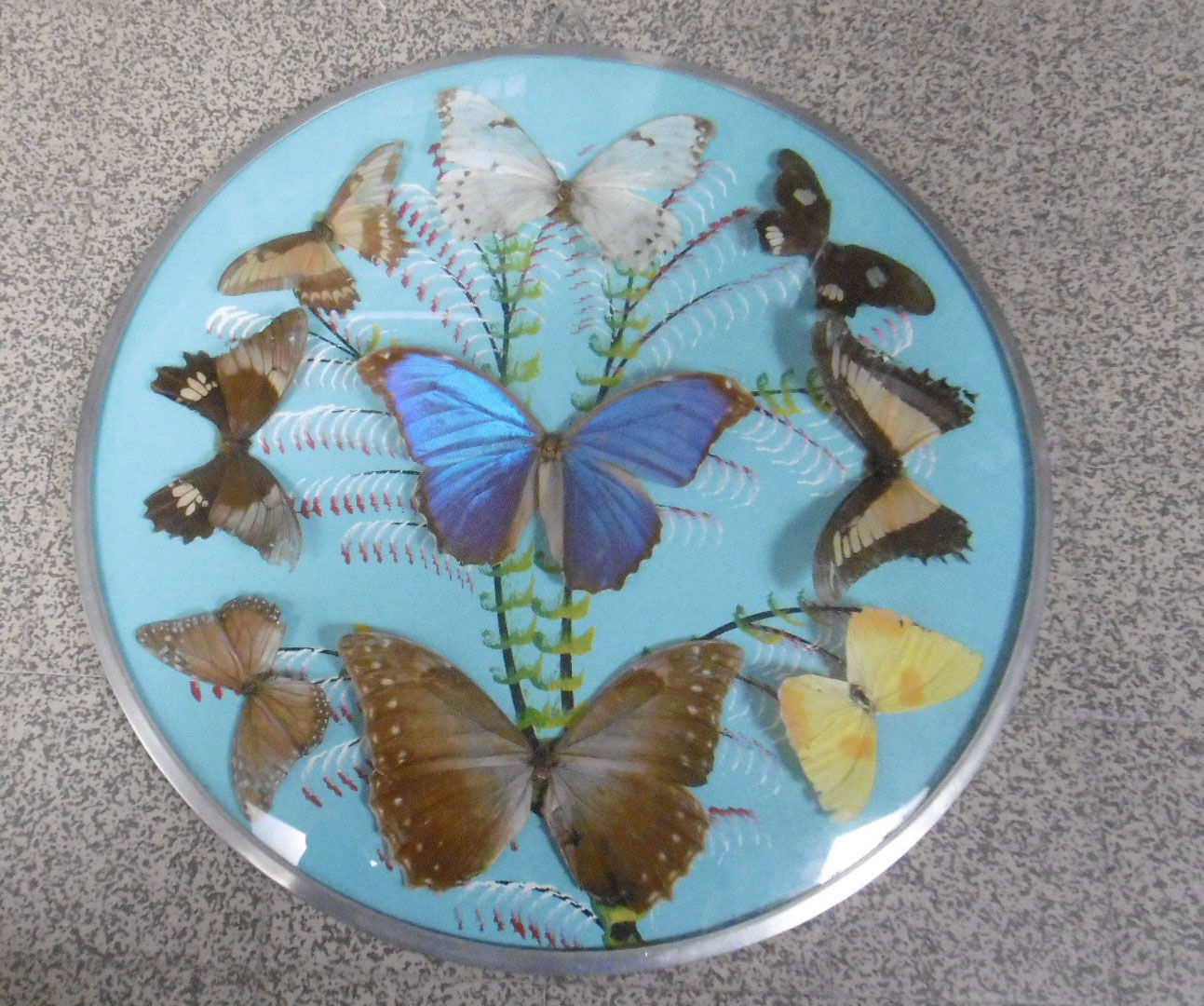 Vintage frame butterflies and silk threads - artefama - annees 50