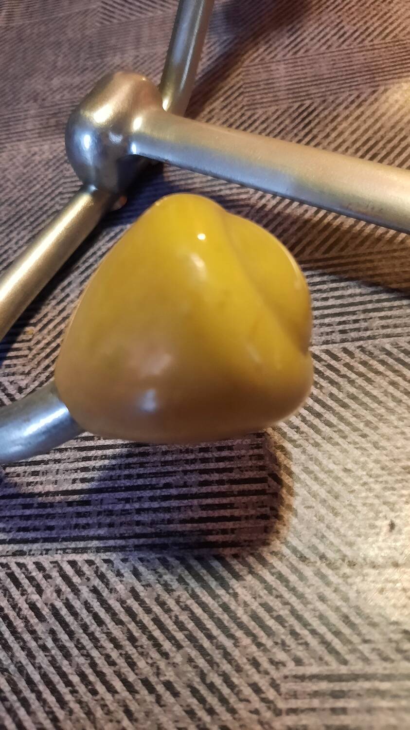 Wall coat rack with 2 hooks