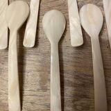 Ice cream spoons or sorbets