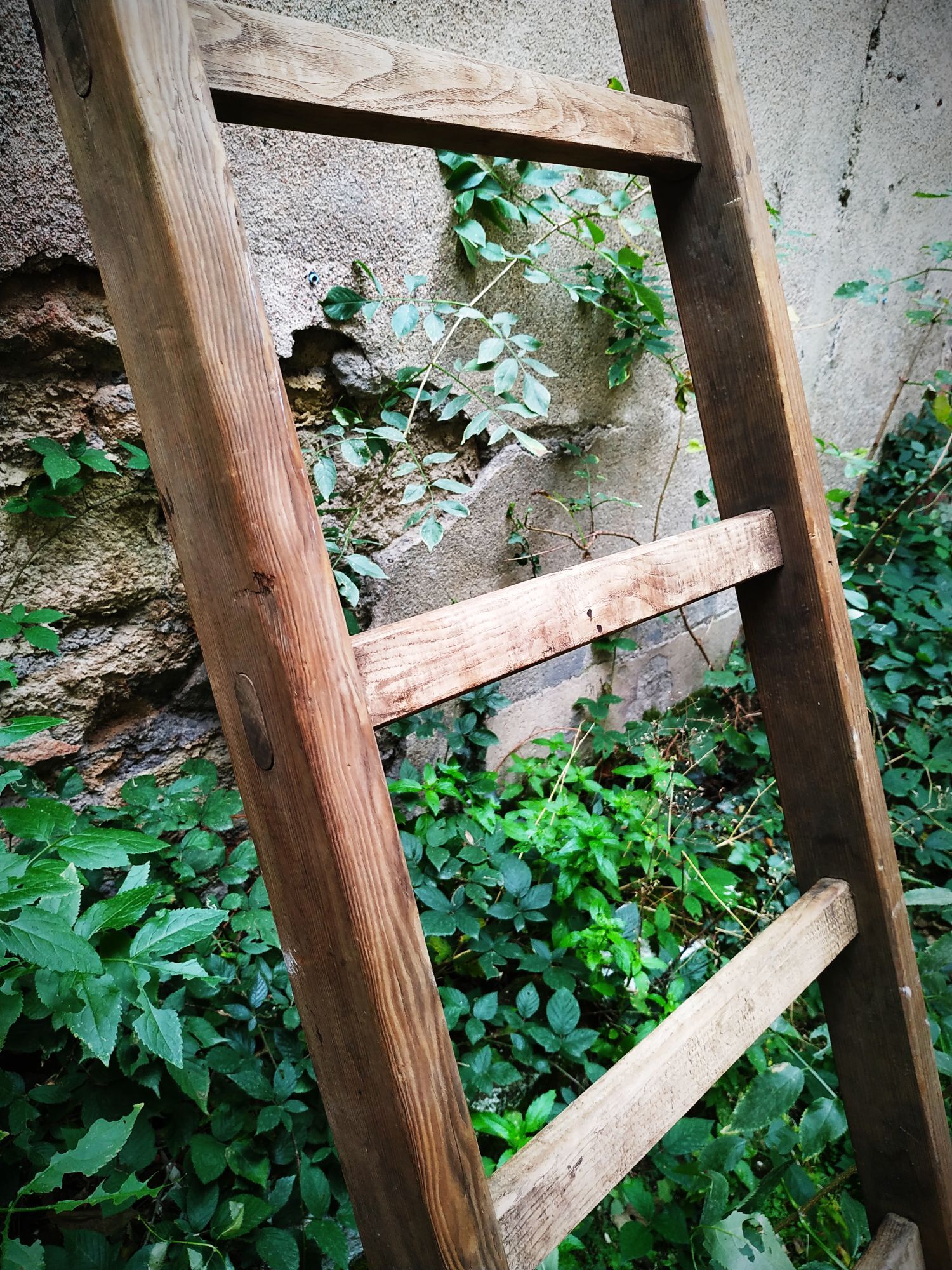 Old Cognet scale 321 cm